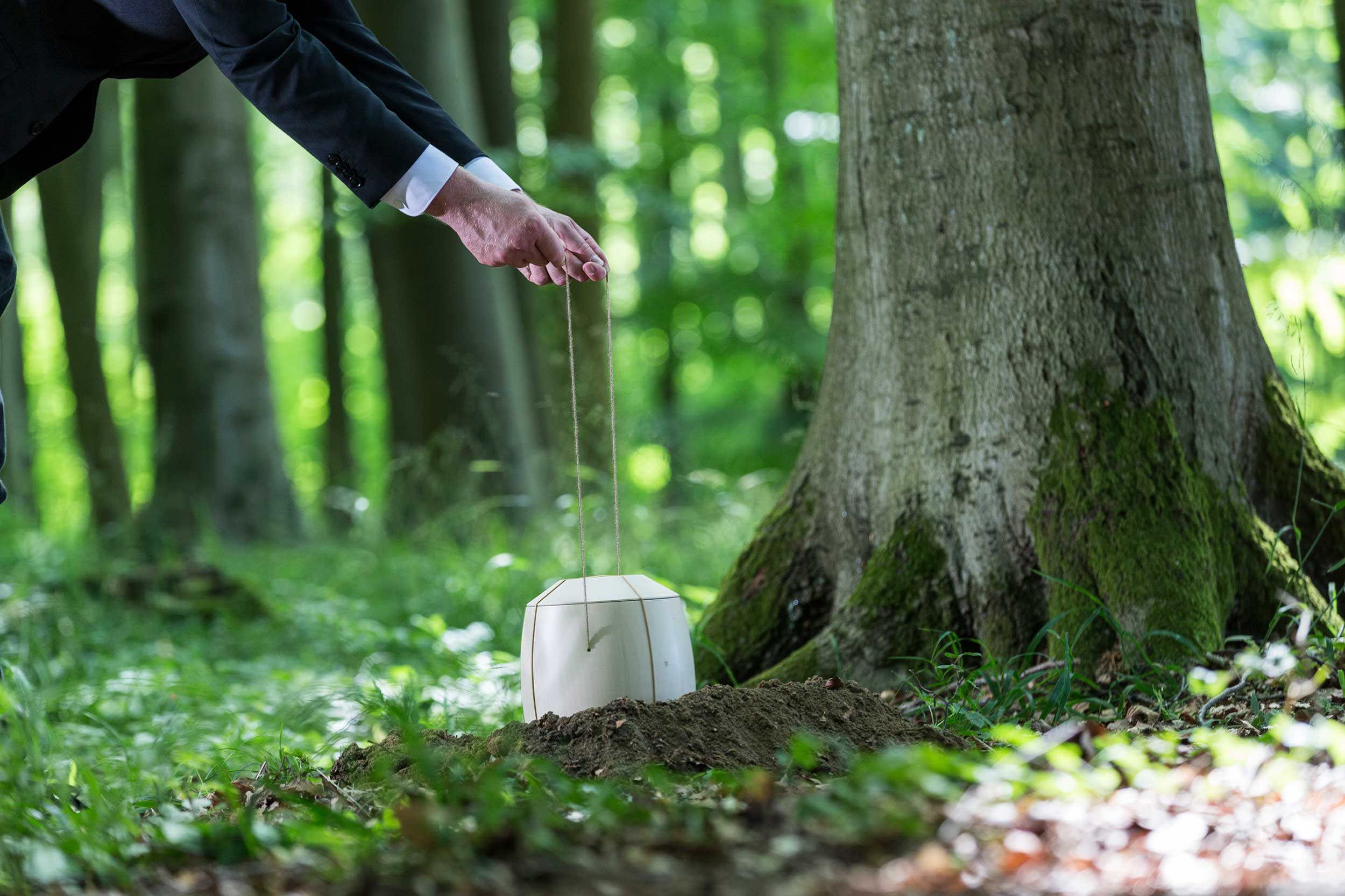 Naturbestattung unter Baum